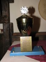 Dodela - opÅ¡tinska liga - 2008/2009