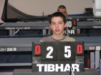 Aleksandar Radosavljevic