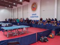Memorijal Ervin Danka 2013