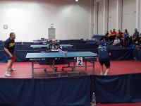 Memorijal Ervin Danka 2013