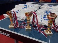 Memorijal Ervin Danka 2013